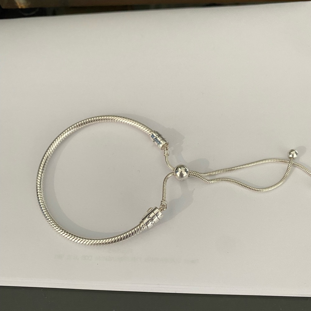 Pandora slider charm bracelet